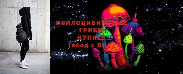 ГАЛЛЮЦИНОГЕННЫЕ ГРИБЫ Беломорск