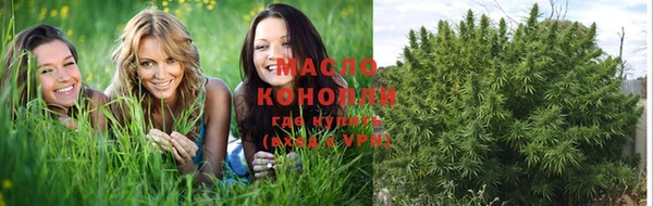 молекула духа Мегион