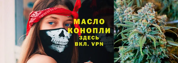 молекула духа Мегион