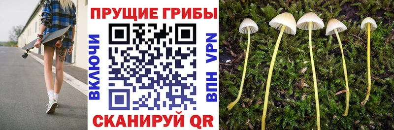 ссылка на мегу сайт  Бокситогорск  Галлюциногенные грибы GOLDEN TEACHER 